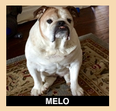 Melo